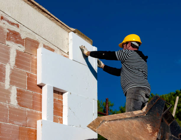 Best Spray Foam Insulation  in Roxana, IL