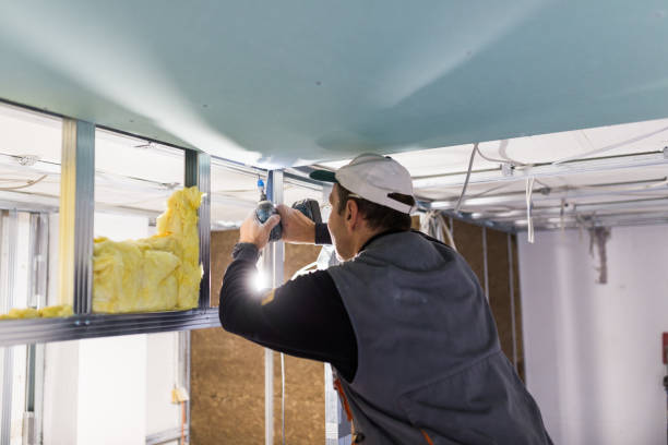Best Home Insulation Services  in Roxana, IL