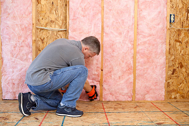Garage Insulation Installation in Roxana, IL