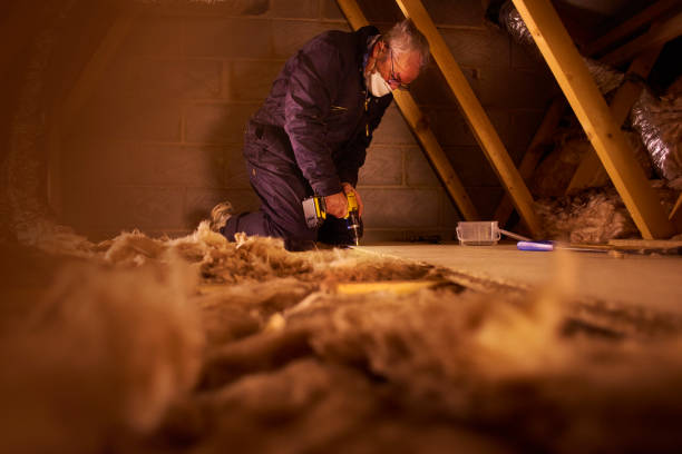Best Insulation Removal Services  in Roxana, IL